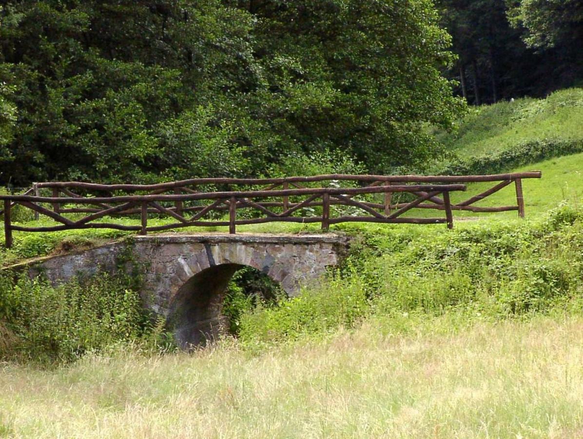 Waldblick Appartement Ober-Hambach Eksteriør billede