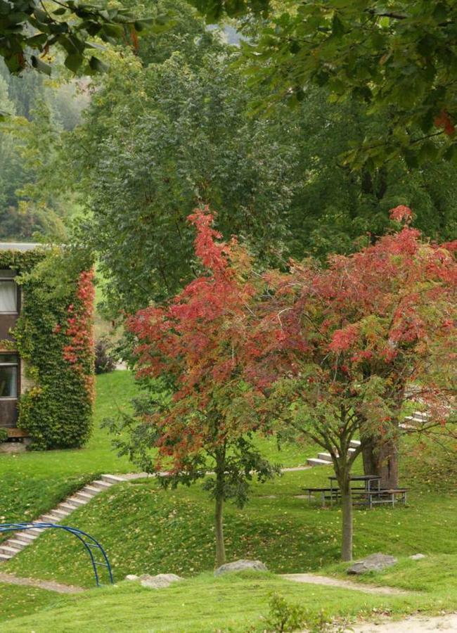 Waldblick Appartement Ober-Hambach Eksteriør billede